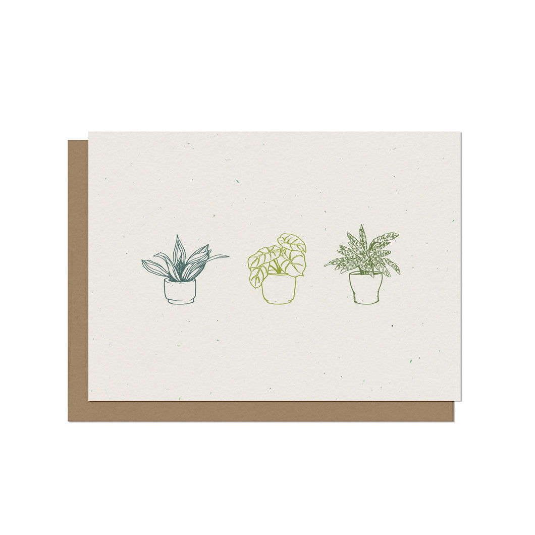 Houseplant Trio - Blank Card