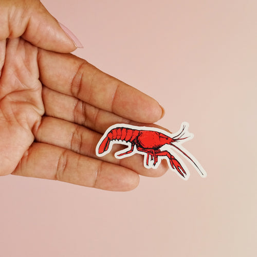 Crawfish Clear Sticker