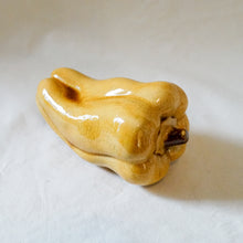 Vintage Bell Pepper