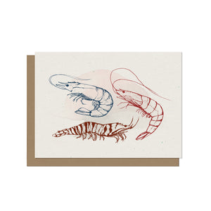 Coastal Shrimp Blank Card
