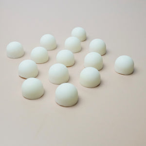 Winter Blossom Wax Melts