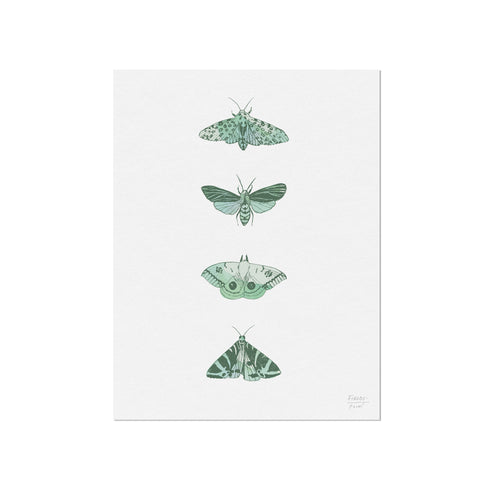 Four Moths Insect Art Print