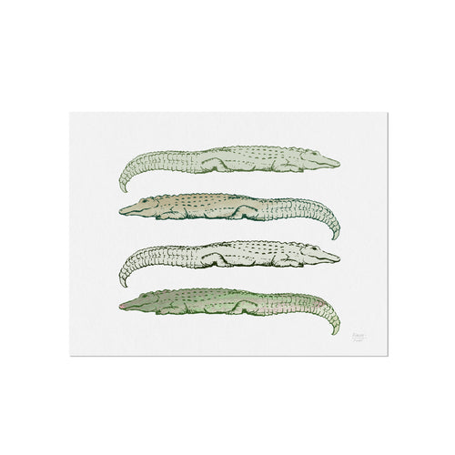 Lazy Alligators Art Print