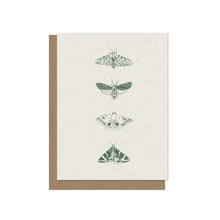 Four Moths - Blank Card
