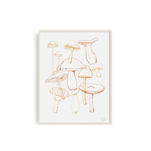 Wild Mushrooms Art Print