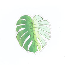 Monstera Leaf Clear Sticker