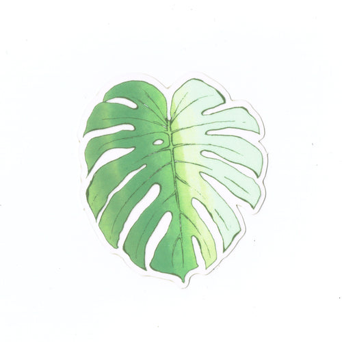 Monstera Leaf Clear Sticker