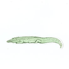 Lazy Alligator Sticker