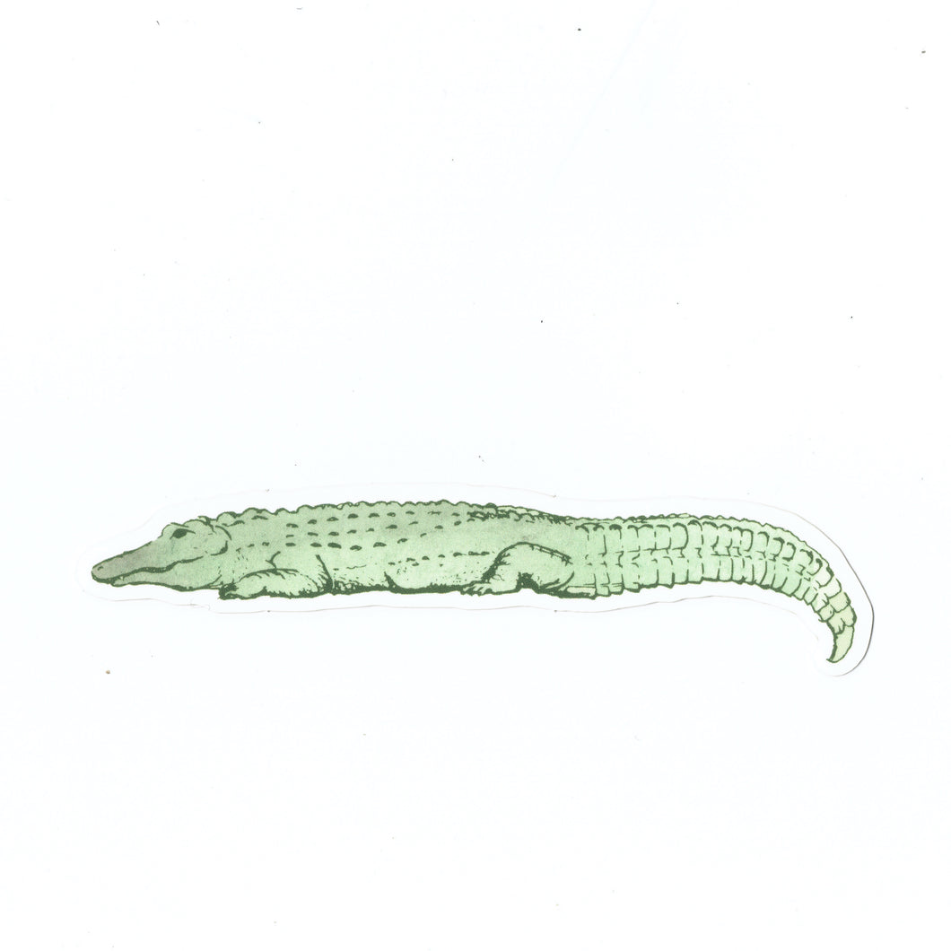 Lazy Alligator Sticker