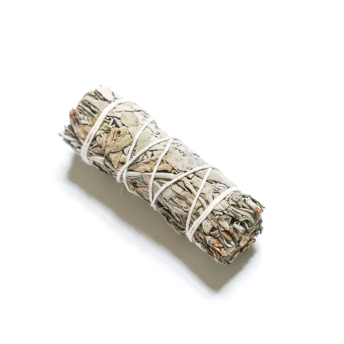California White Sage 4 inch Bundle
