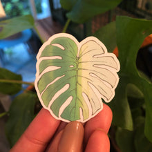 Monstera Leaf Clear Sticker