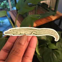 Lazy Alligator Sticker