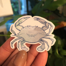 Colorful Crab Clear Sticker