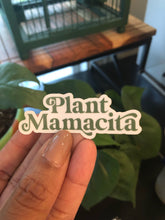 Plant Mamacita Clear Sticker